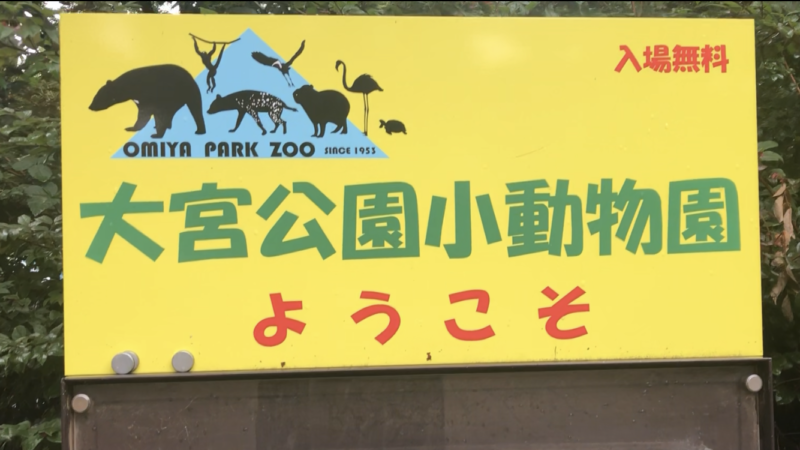 埼玉県【大宮公園小動物園】見どころは？子連れブログレポ！！ 