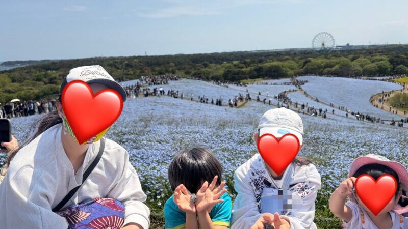 2026年【ひたち海浜公園】ネモフィラとアスレチック。子連れブログレポ！！