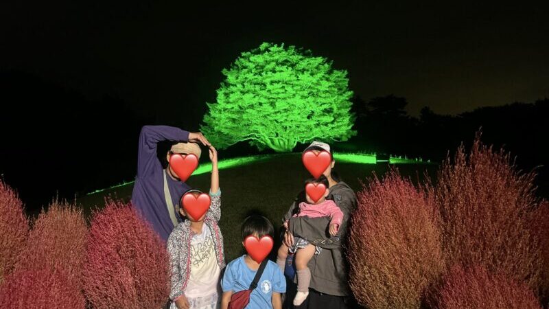 【ひたち海浜公園コキアライトアップ】子連れで満喫♪開催期間、回り方は？ブログレポ！！