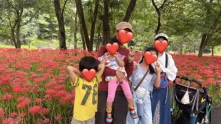 2026年【巾着田曼珠沙華まつり】子連れで満喫♪駐車場満車！高麗神社からシャトルバスで行った実体験 