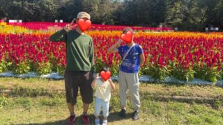 2026年【森林公園】子連れで満喫♪アスレチック24種類と回り方ブログレポ！！ 